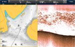 Raymarine CP100