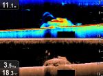 Raymarine CP100