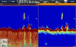 Raymarine CP370