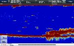 Raymarine CP370