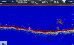 Raymarine CP370