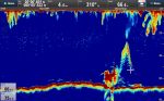 Raymarine CP470