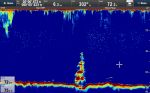 Raymarine CP470