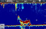Raymarine CP470